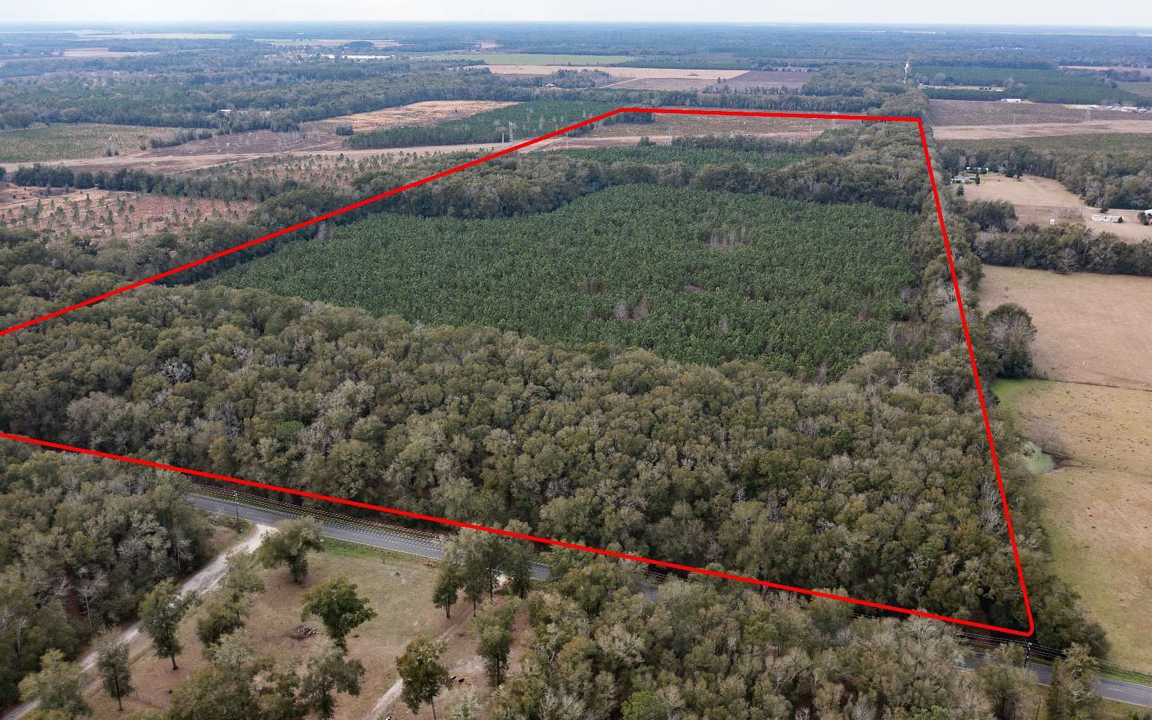 120 Acres of Agricultural Land for Sale in Live Oak, Florida