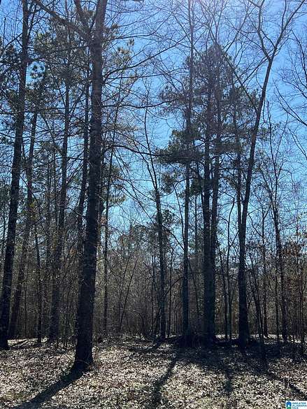 0.25 Acres of Residential Land for Sale in McCalla, Alabama