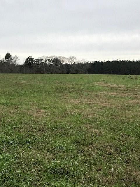 1.4 Acres of Residential Land for Sale in Poplarville, Mississippi
