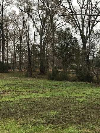 1 Acre of Residential Land for Sale in Poplarville, Mississippi