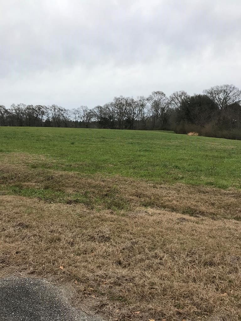1.1 Acres of Residential Land for Sale in Poplarville, Mississippi