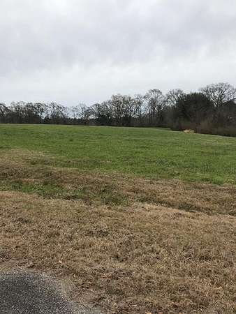 1.1 Acres of Residential Land for Sale in Poplarville, Mississippi