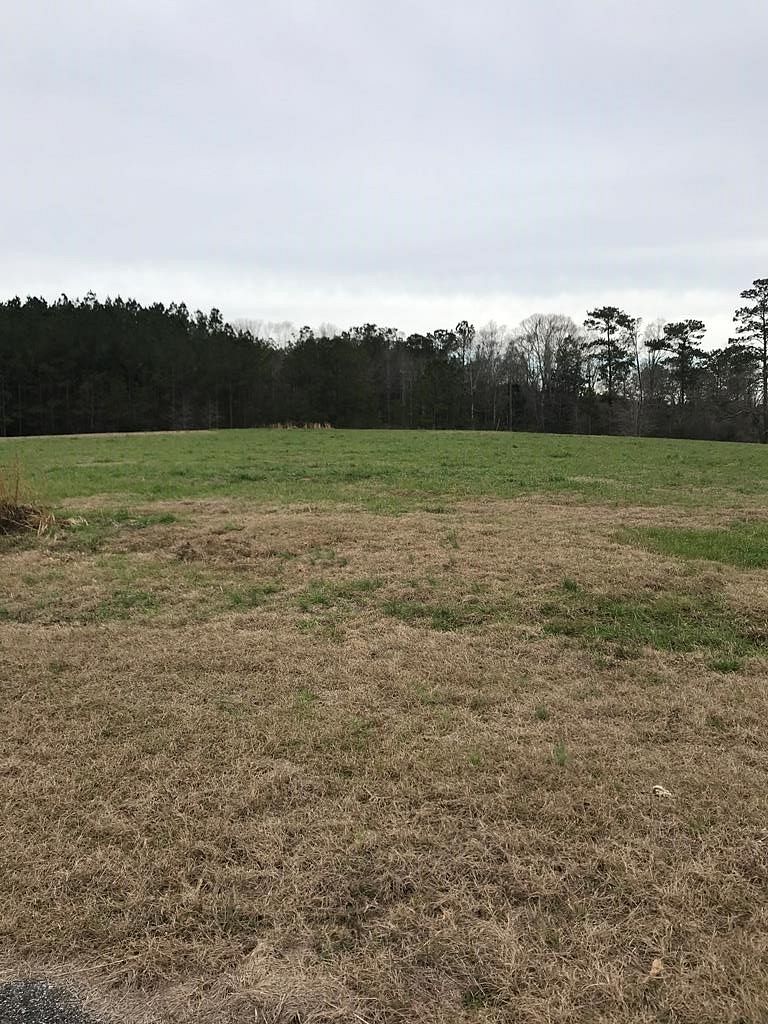 0.99 Acres of Residential Land for Sale in Poplarville, Mississippi