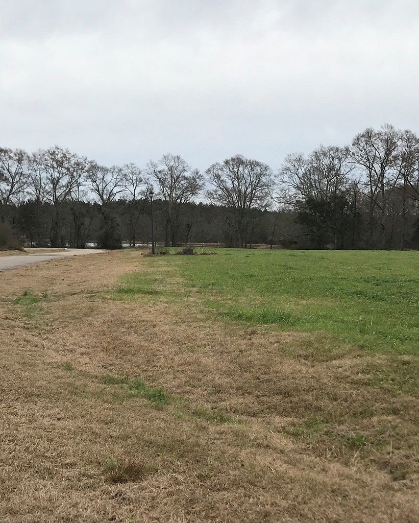 1.01 Acres of Residential Land for Sale in Poplarville, Mississippi