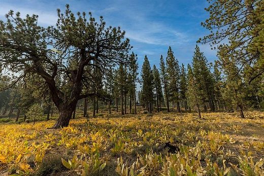 1.4 Acres of Residential Land for Sale in Truckee, California