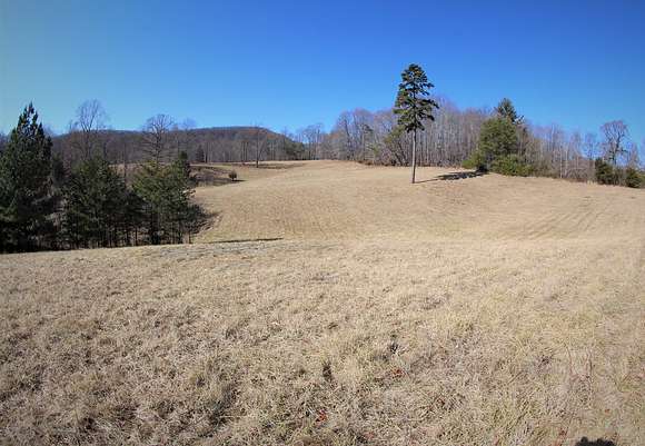 22 Acres of Recreational Land & Farm for Sale in Stuart, Virginia