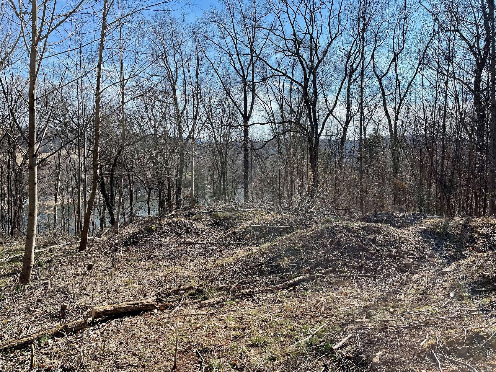 1 Acre of Residential Land for Sale in Piney Flats, Tennessee