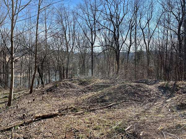 1 Acre of Residential Land for Sale in Piney Flats, Tennessee