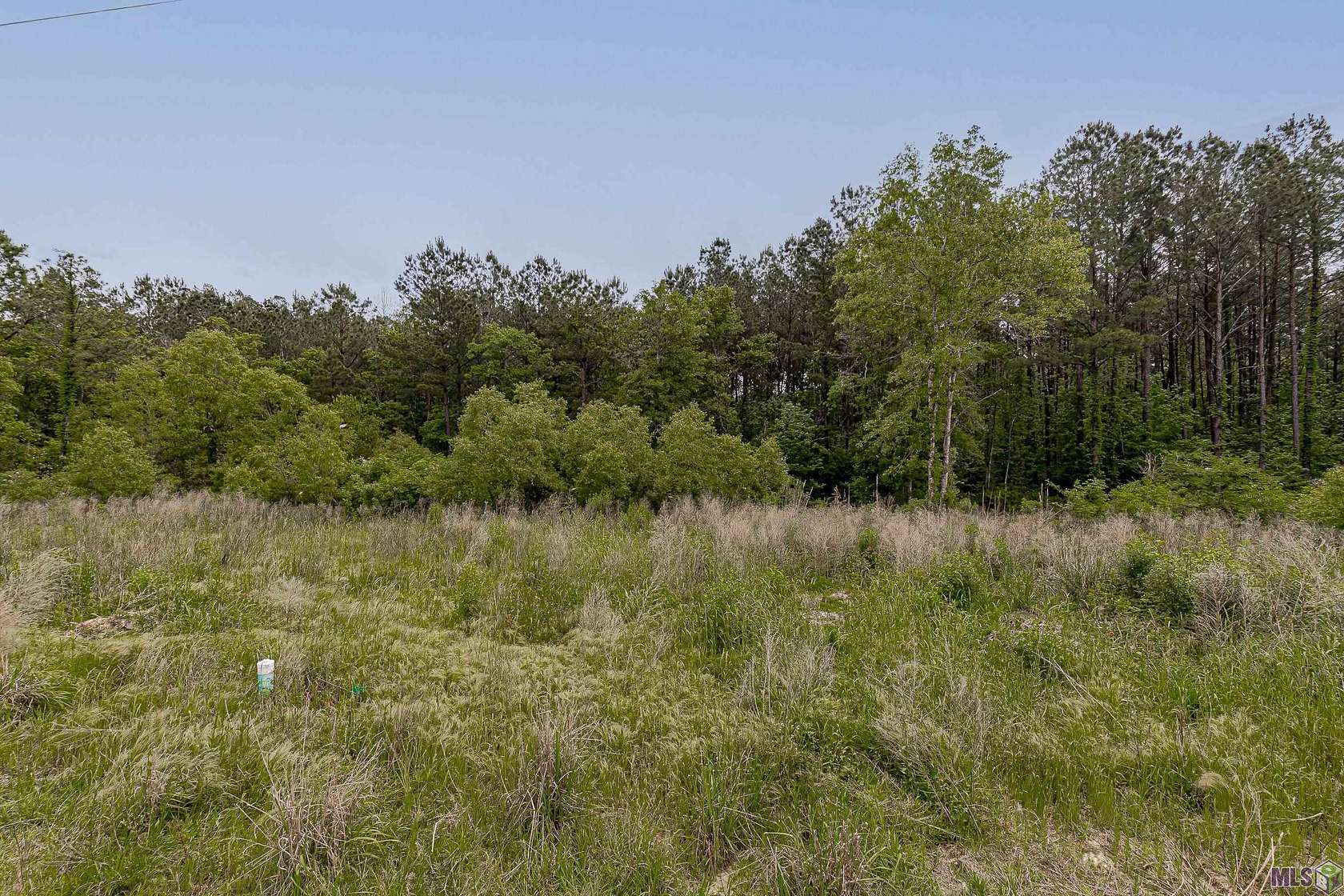 0.62 Acres of Residential Land for Sale in Livingston, Louisiana