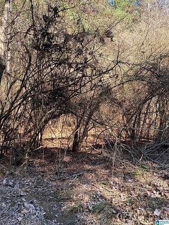 0.34 Acres of Residential Land for Sale in Talladega, Alabama