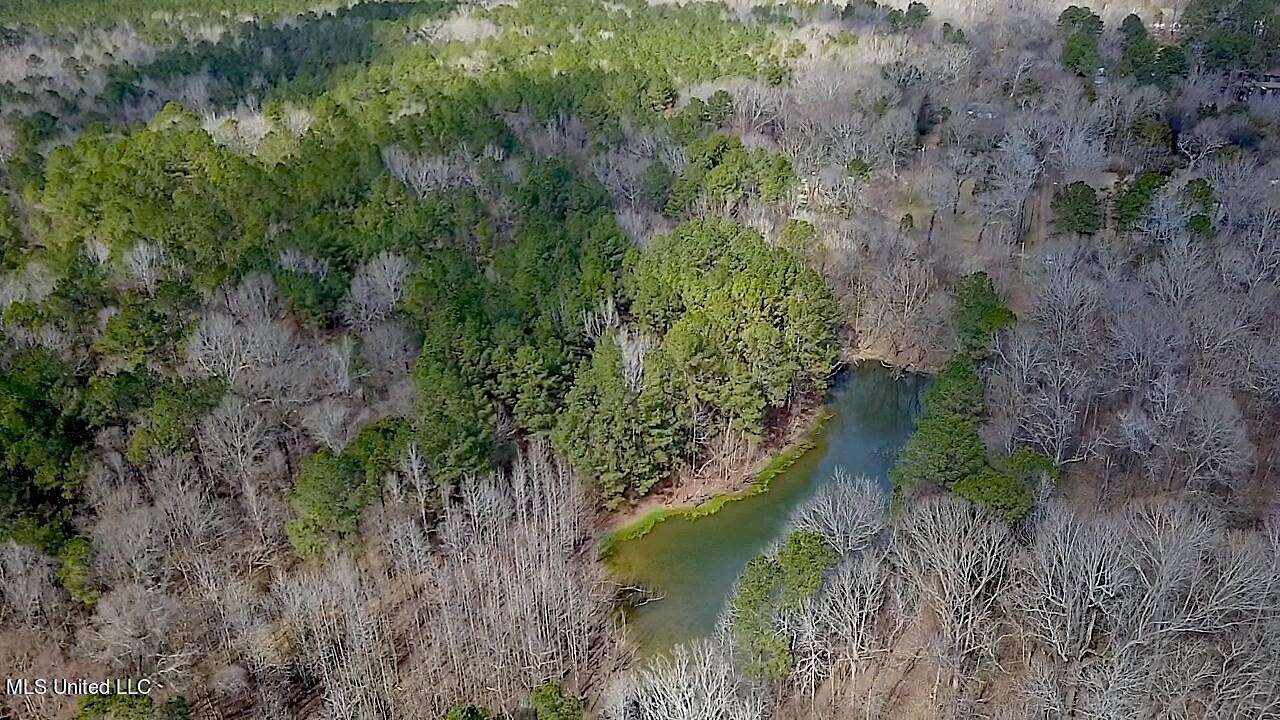 44.5 Acres of Land for Sale in Clinton, Mississippi