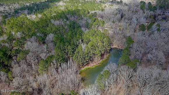 44.5 Acres of Land for Sale in Clinton, Mississippi