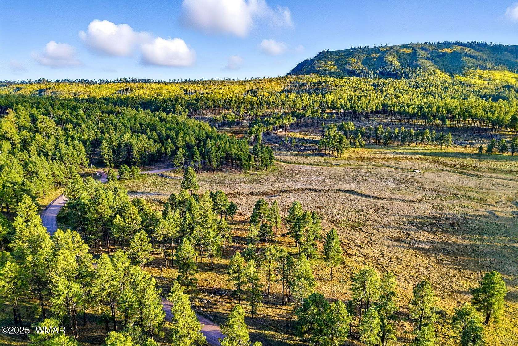 17.3 Acres of Recreational Land for Sale in Alpine, Arizona