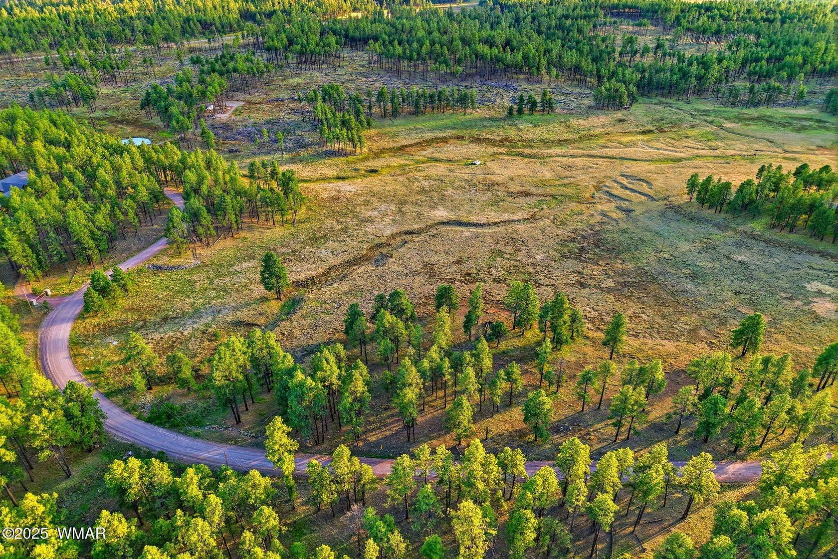 17.3 Acres of Recreational & Residential Land for Sale in Alpine, Arizona