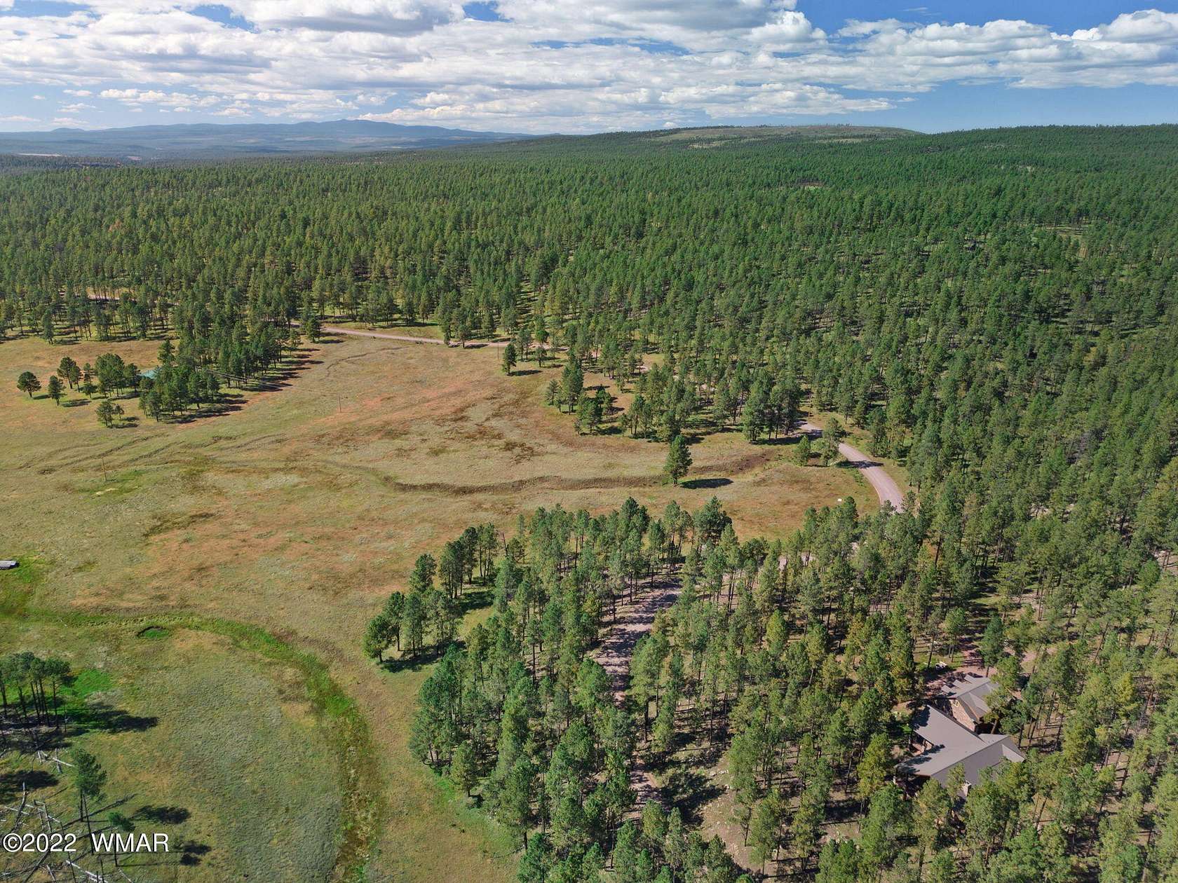 17.25 Acres of Land for Sale in Alpine, Arizona