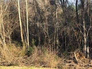 1 Acre of Residential Land for Sale in Uvalda, Georgia