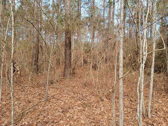 3 Acres of Residential Land for Sale in Summit, Mississippi