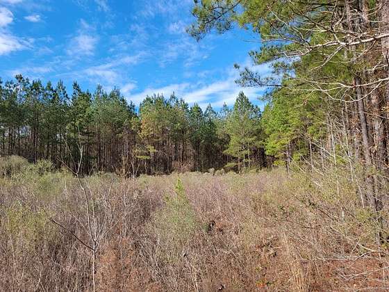 2.8 Acres of Residential Land for Sale in Summit, Mississippi