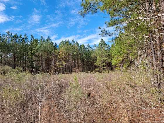 2.79 Acres of Residential Land for Sale in Summit, Mississippi