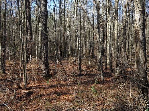 32 Acres of Recreational Land for Sale in Shubuta, Mississippi