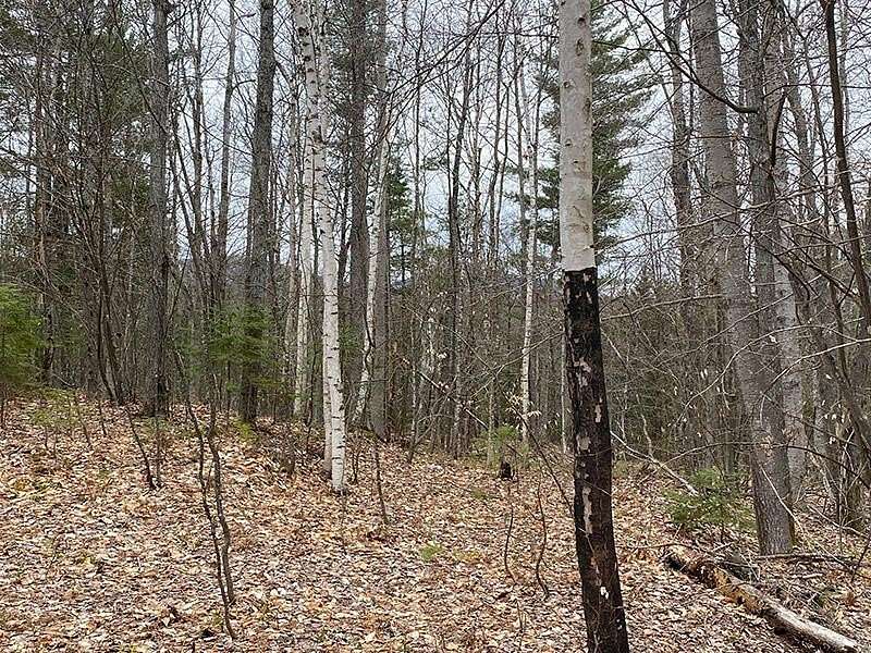 5.86 Acres of Residential Land for Sale in Loon Lake, New York