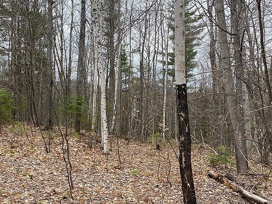 5.9 Acres of Residential Land for Sale in Loon Lake, New York