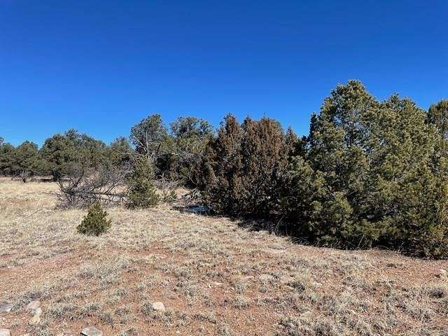 5 Acres of Residential Land for Sale in Ilfeld, New Mexico