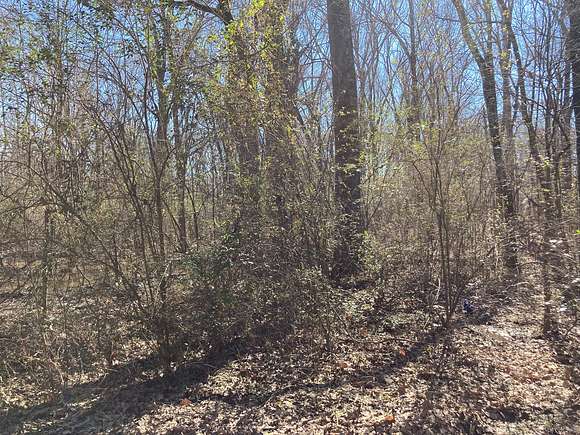 1 Acre of Residential Land for Sale in Ward, Arkansas