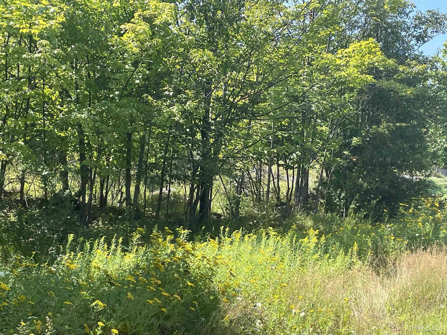 4 Acres of Residential Land for Sale in Marquette, Michigan