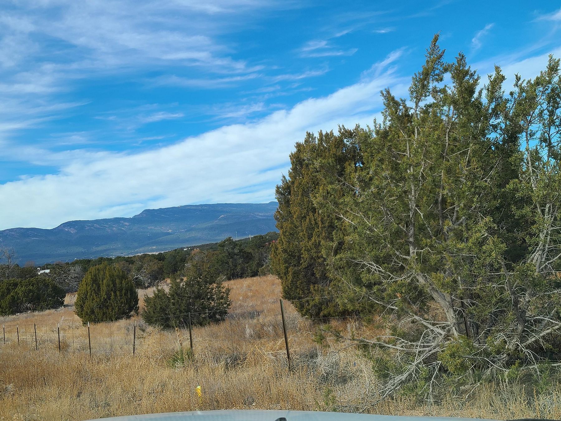 29.7 Acres of Agricultural Land for Sale in Sandia Park, New Mexico