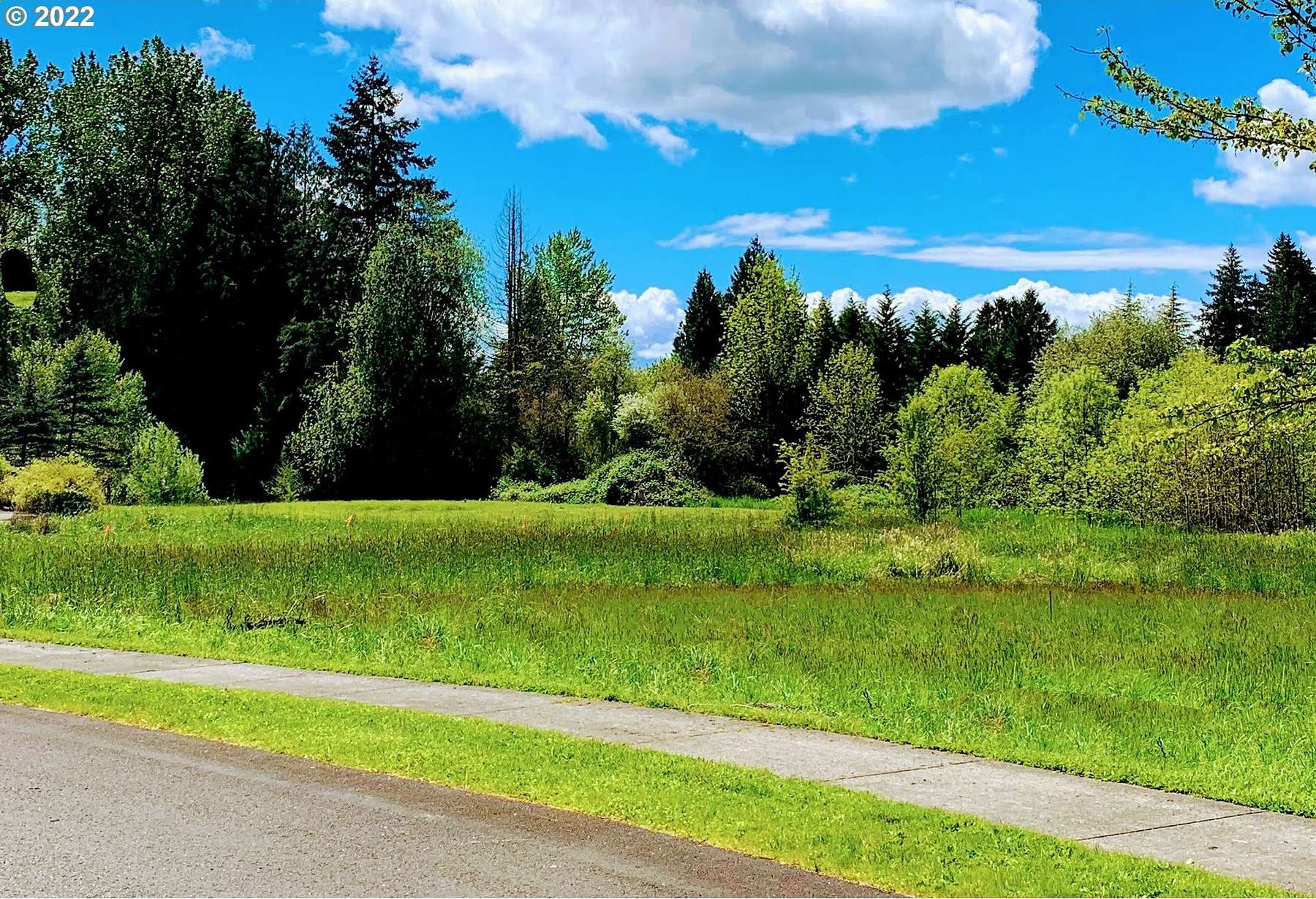 1.2 Acres of Residential Land for Sale in Battle Ground, Washington