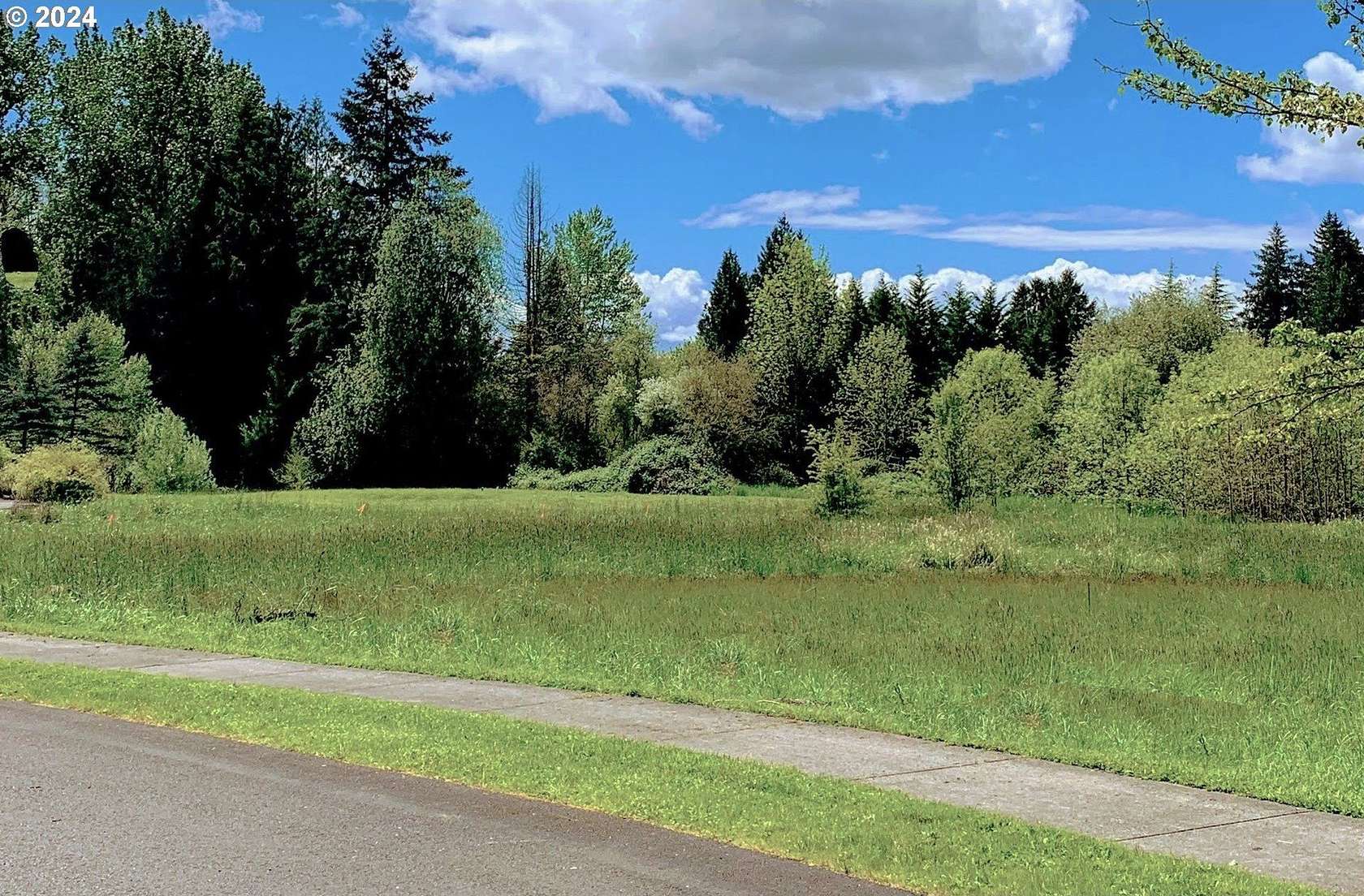 1.15 Acres of Residential Land for Sale in Battle Ground, Washington