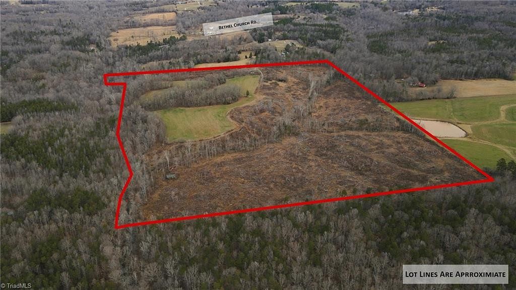 80.6 Acres of Agricultural Land for Sale in Gibsonville, North Carolina