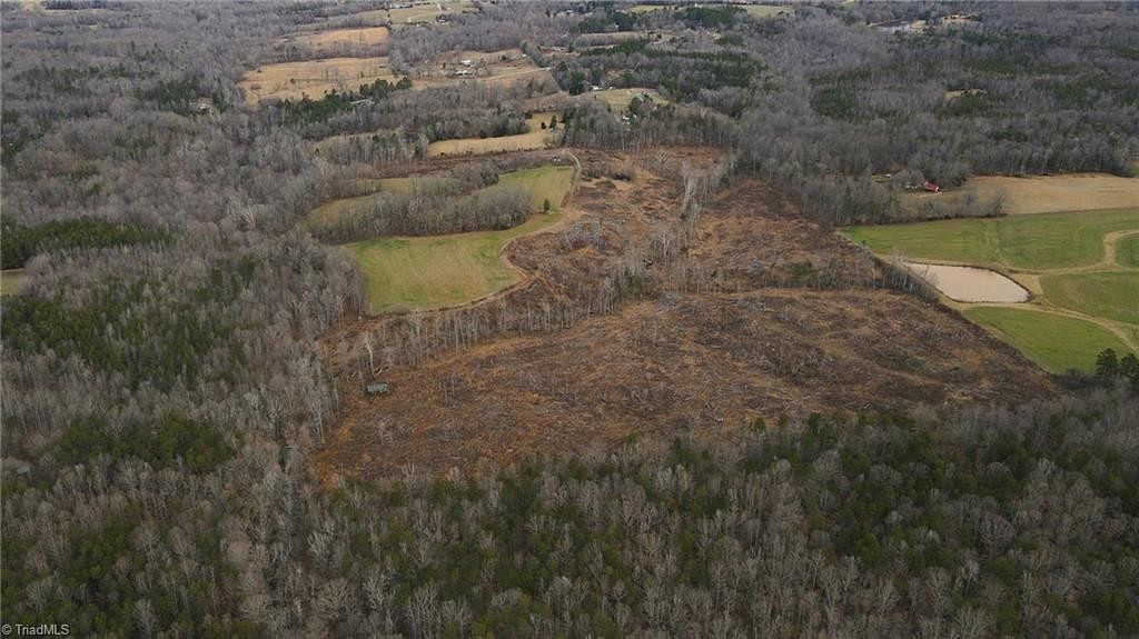 80.55 Acres of Agricultural Land for Sale in Gibsonville, North Carolina