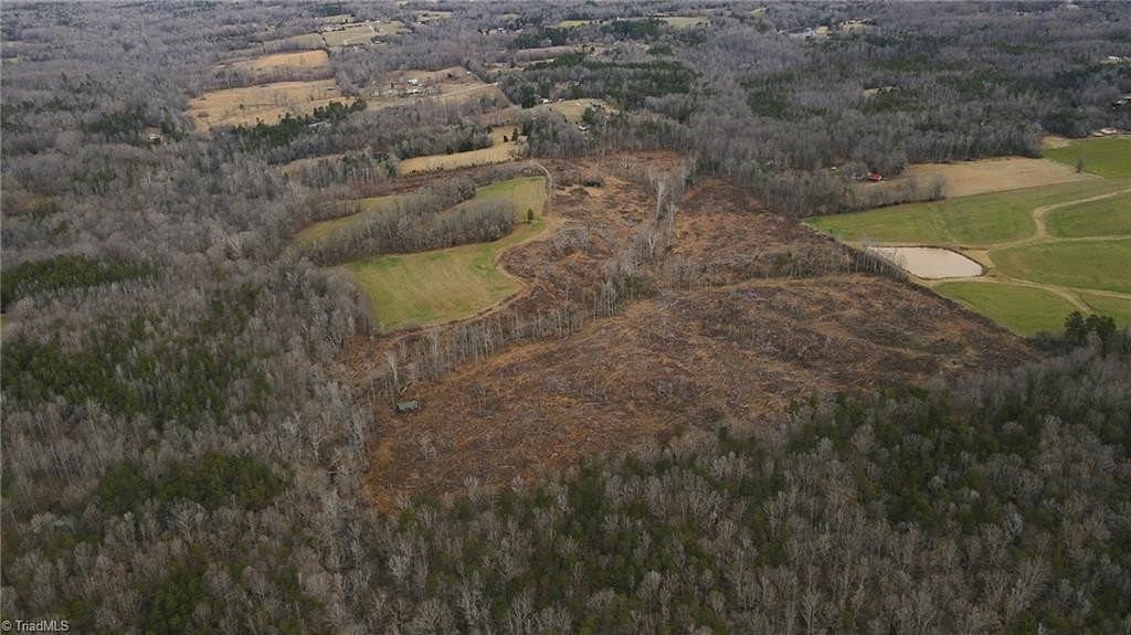 80.55 Acres of Agricultural Land for Sale in Gibsonville, North Carolina