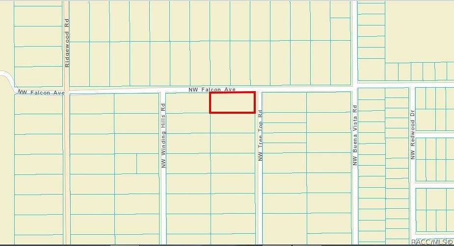 1 Acre of Residential Land for Sale in Dunnellon, Florida