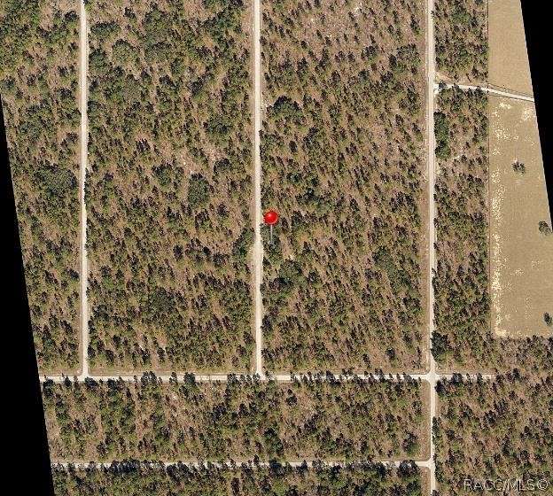 1 Acre of Residential Land for Sale in Dunnellon, Florida