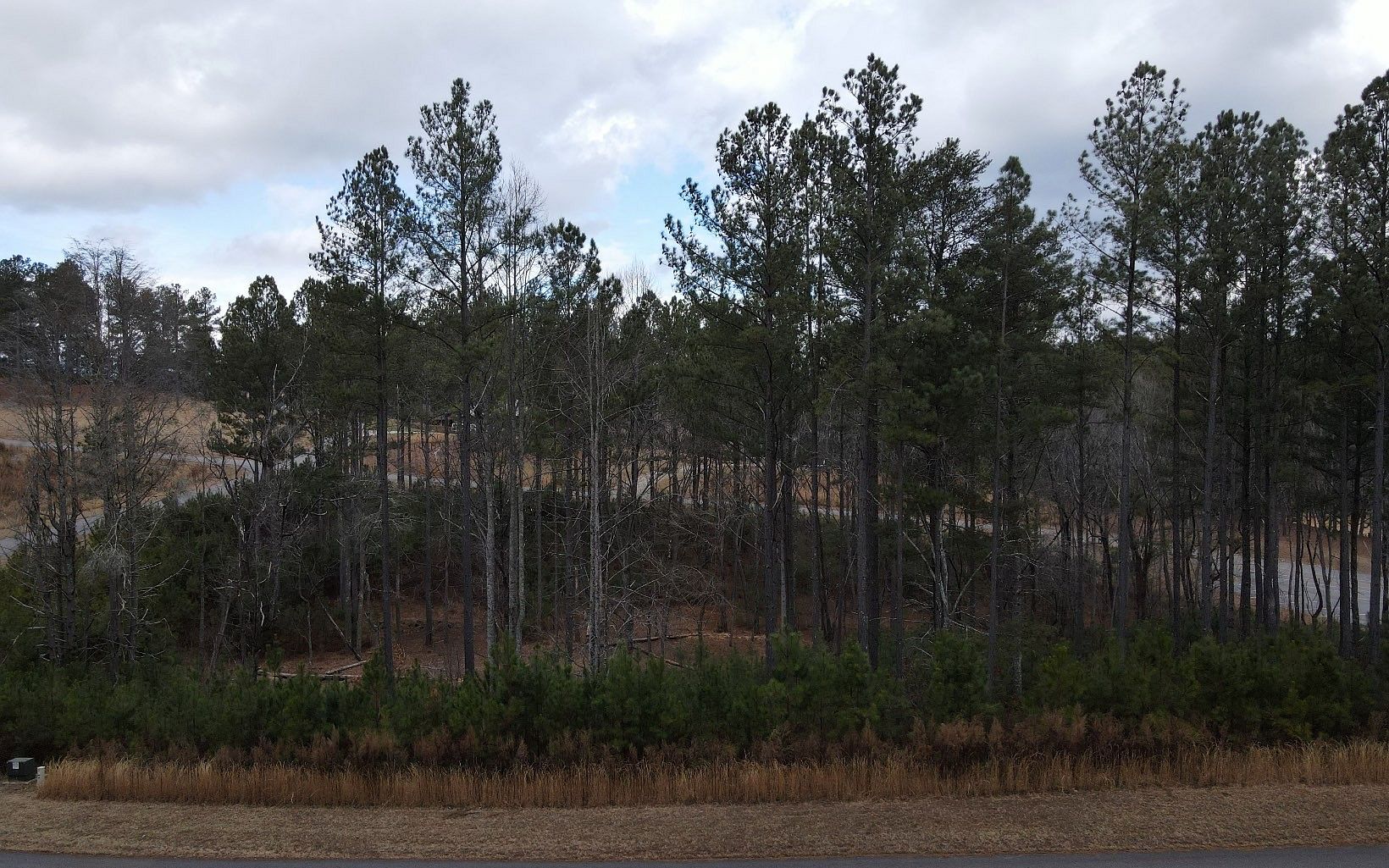 1.8 Acres of Land for Sale in Blairsville, Georgia