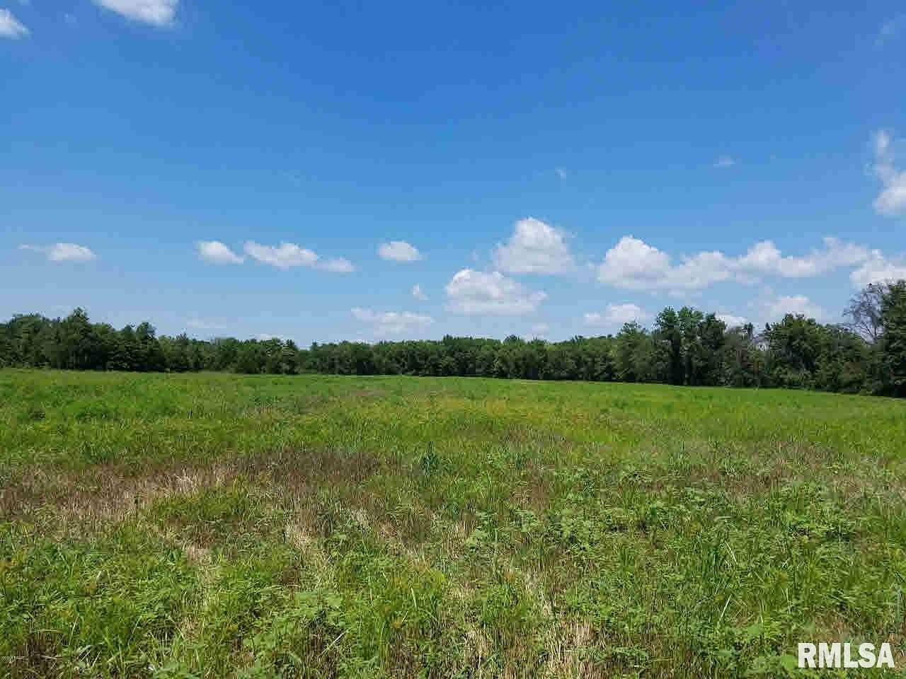 8 Acres of Land for Sale in Centralia, Illinois
