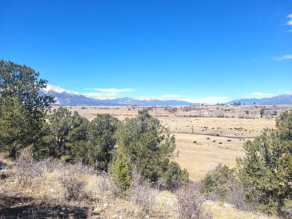 160 Acres of Recreational Land for Sale in Nathrop, Colorado