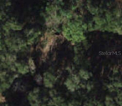 0.44 Acres of Residential Land for Sale in Belleview, Florida