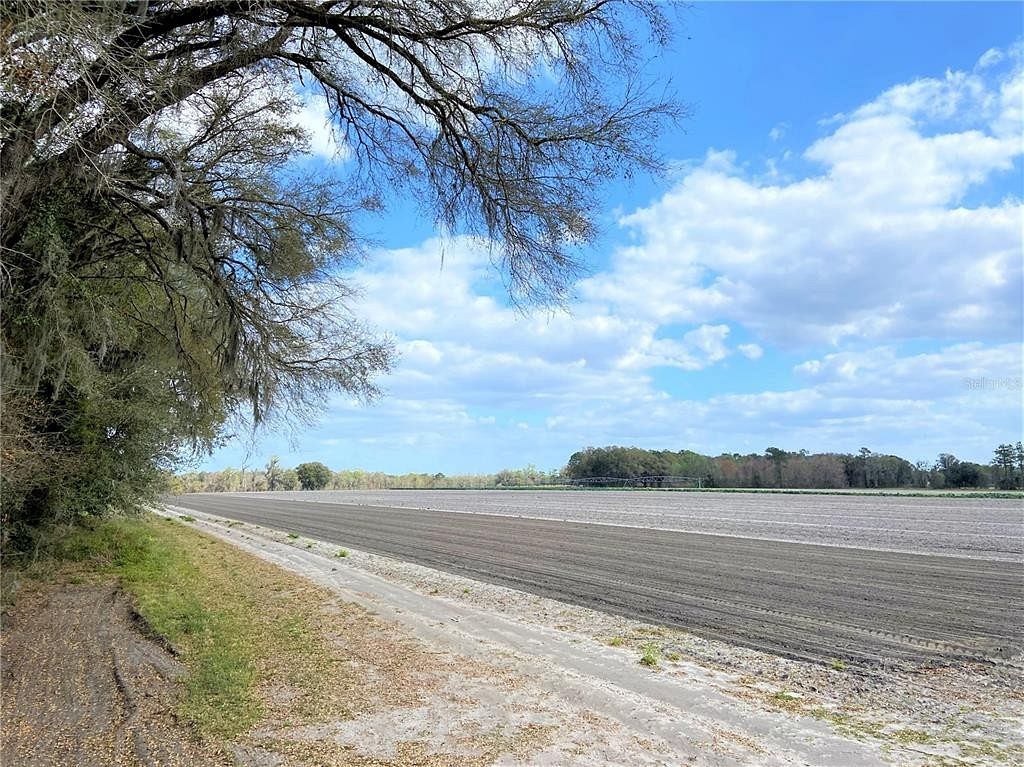 38.7 Acres of Land for Sale in Alachua, Florida