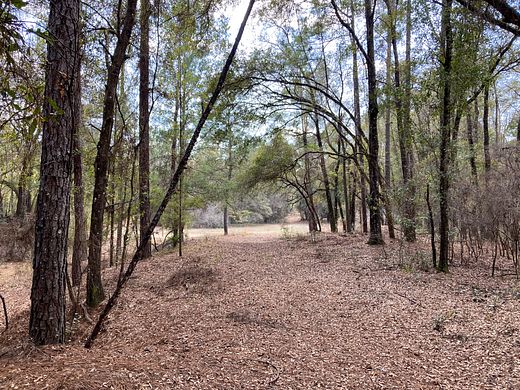 188 Acres of Recreational Land for Sale in Hernando, Florida - LandSearch