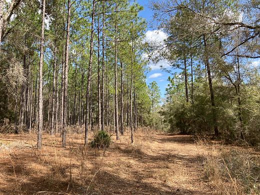 188 Acres of Recreational Land for Sale in Hernando, Florida - LandSearch