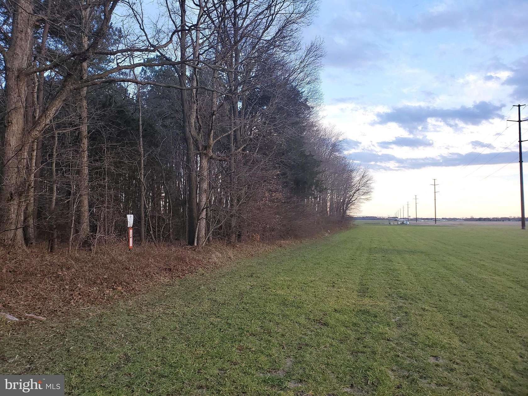 6.5 Acres of Residential Land for Sale in Hurlock, Maryland