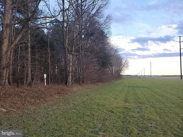6.5 Acres of Residential Land for Sale in Hurlock, Maryland