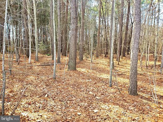 6.5 Acres of Residential Land for Sale in Hurlock, Maryland