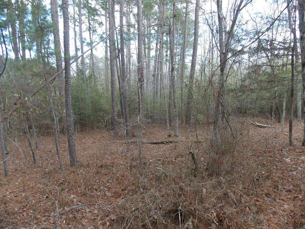 16.2 Acres of Land for Sale in Lincolnton, Georgia