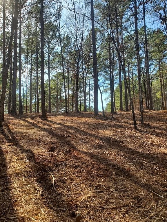 1.6 Acres of Residential Land for Sale in Salem, South Carolina