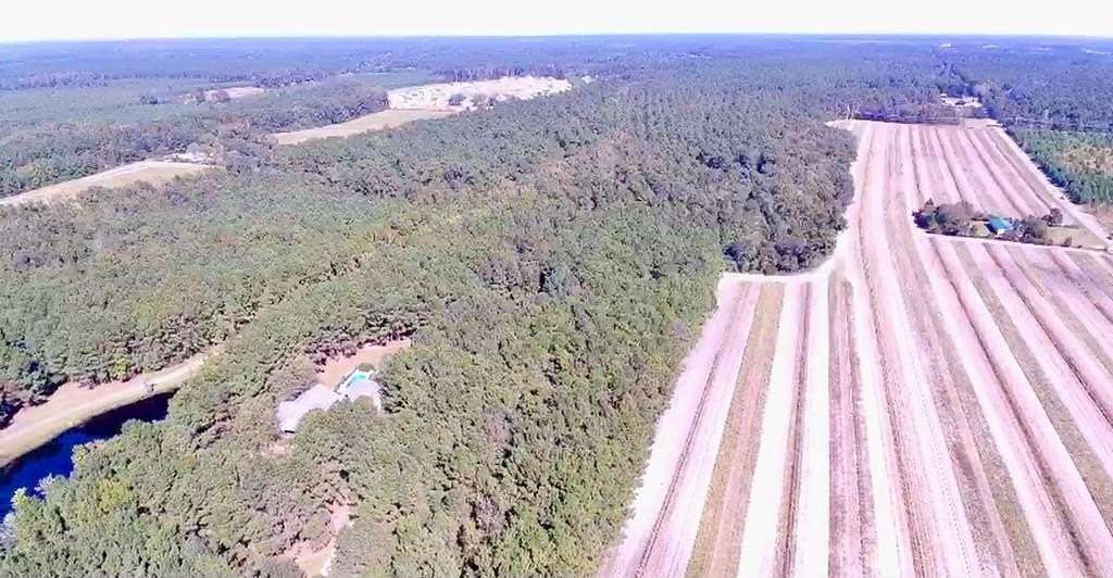 78 Acres of Improved Land for Sale in Summerville, South Carolina